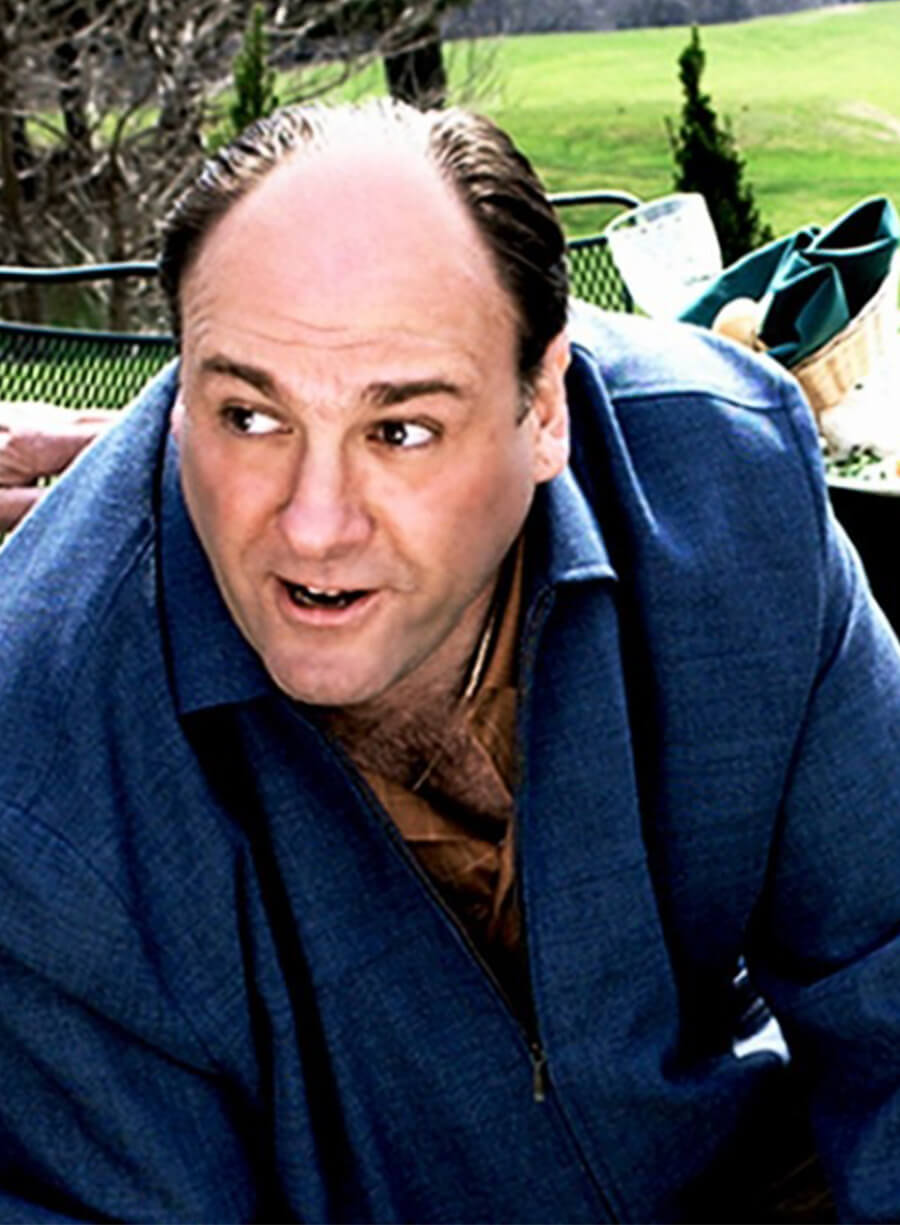 The Sopranos Tony Soprano Blue Cotton Jacket