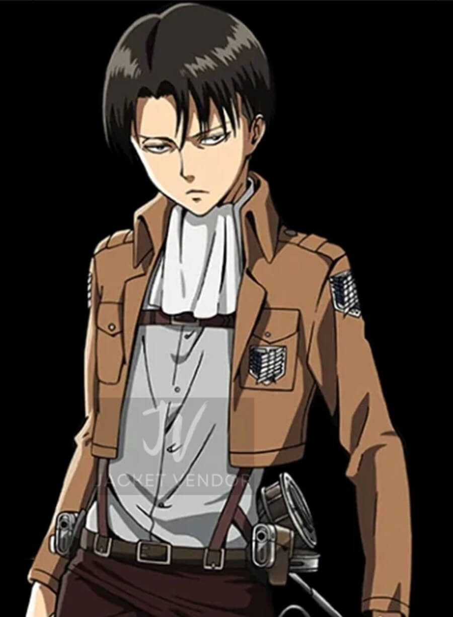 Attack on Titan Scout Regiment Levi Ackerman Brown Leather Cropped Jacket