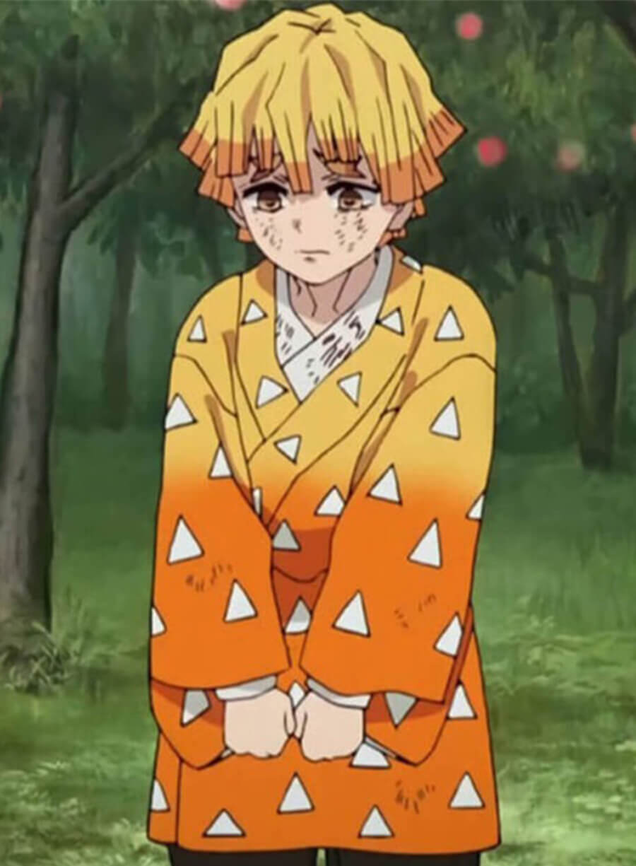 Demon Slayer Zenitsu Agatsuma Orange Coat