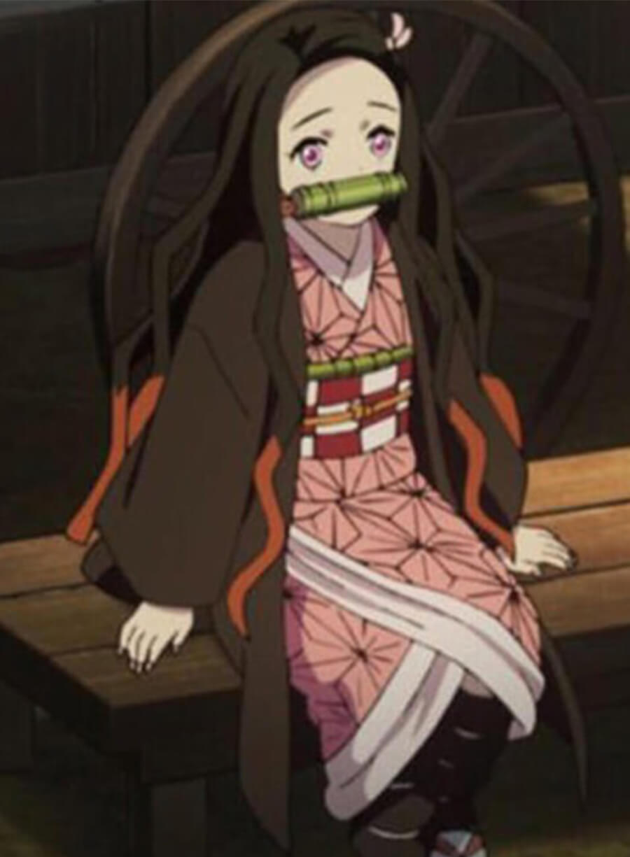 Nezuko Kamado Demon Slayer Brown Coat