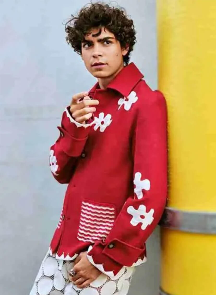 One Piece Monkey D. Luffy Red Coat