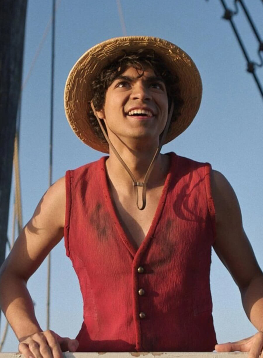 One Piece Monkey D. Luffy Red Vest 
