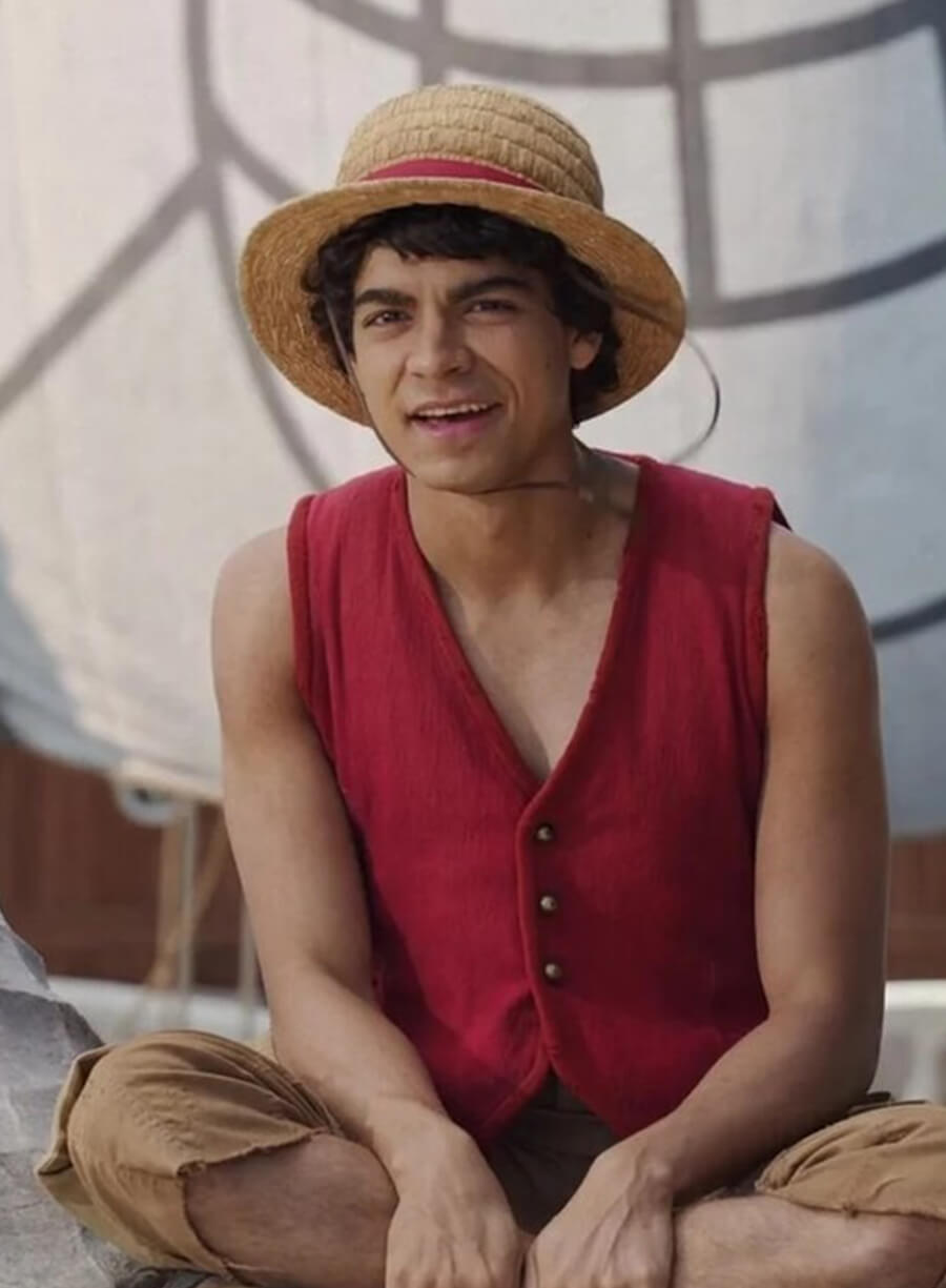 One Piece Monkey D. Luffy Red Vest 