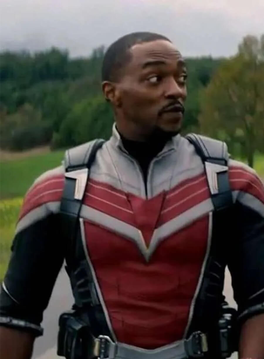 Sam Wilson The Falcon and the Winter Soldier Costume Jacket 