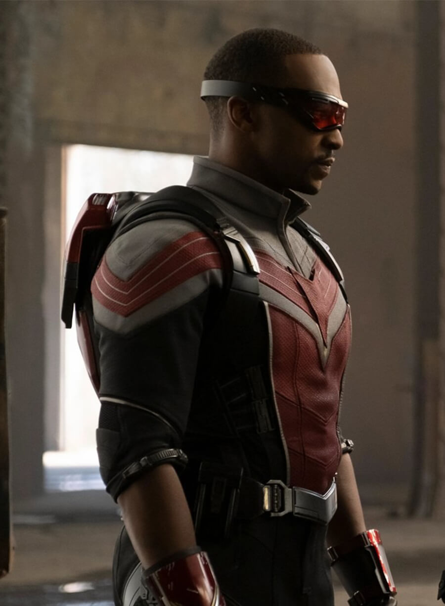 Sam Wilson The Falcon and the Winter Soldier Costume Jacket 