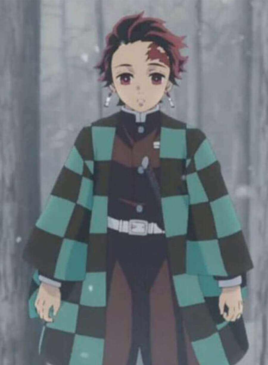 Tanjiro Kamado Demon Slayer Green Black Coat