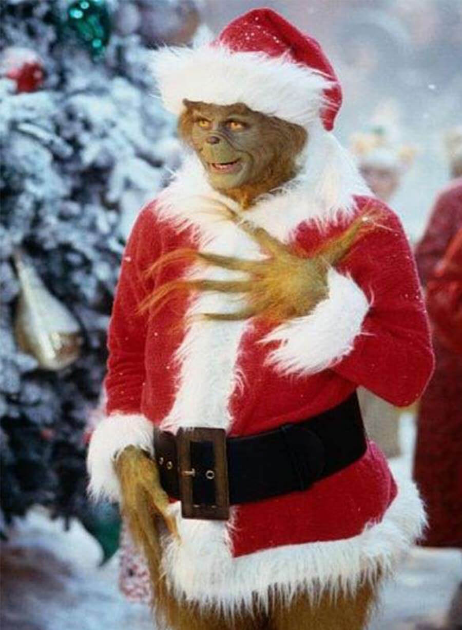 The Grinch Christmas Costume 