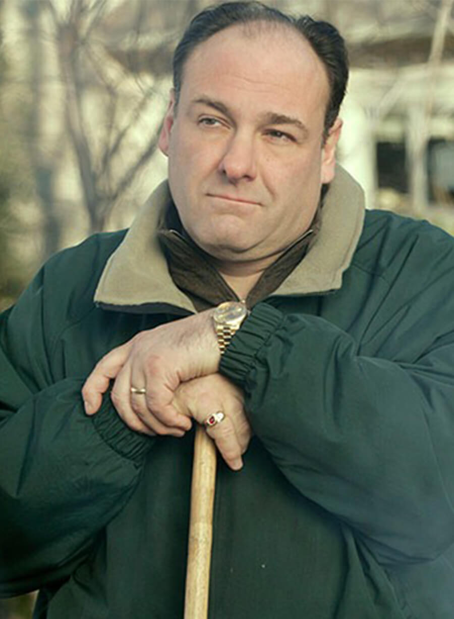 The Sopranos James Gandolfini Tony Soprano Green Cotton Jacket 